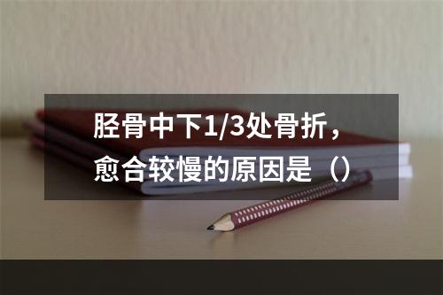 胫骨中下1/3处骨折，愈合较慢的原因是（）