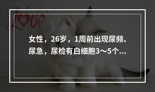 女性，26岁，1周前出现尿频、尿急，尿检有白细胞3～5个／高