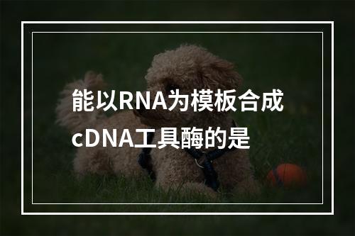 能以RNA为模板合成cDNA工具酶的是