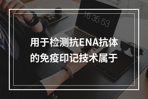 用于检测抗ENA抗体的免疫印记技术属于