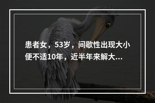 患者女，53岁，间歇性出现大小便不适10年，近半年来解大便困