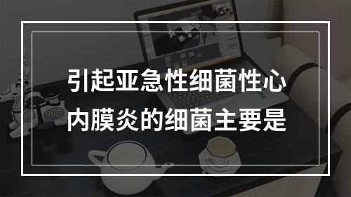 引起亚急性细菌性心内膜炎的细菌主要是