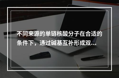 不同来源的单链核酸分子在合适的条件下，通过碱基互补形成双链杂