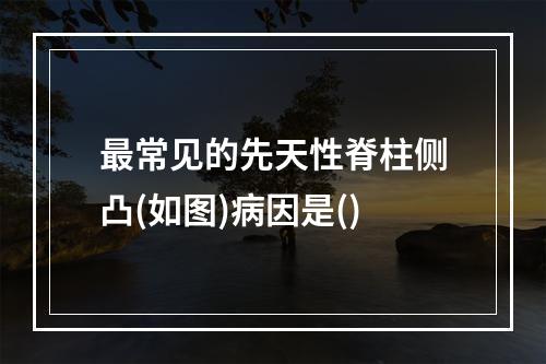 最常见的先天性脊柱侧凸(如图)病因是()