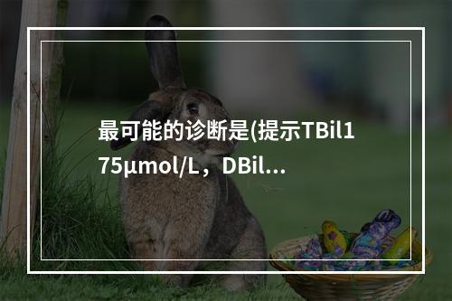 最可能的诊断是(提示TBil175μmol/L，DBil15