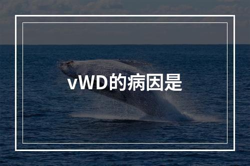 vWD的病因是