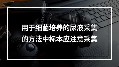 用于细菌培养的尿液采集的方法中标本应注意采集