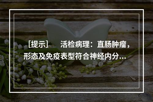 ［提示］　活检病理：直肠肿瘤，形态及免疫表型符合神经内分泌肿