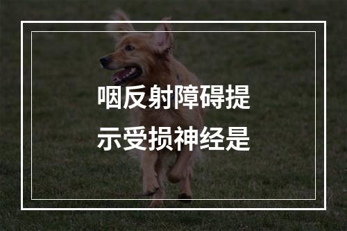 咽反射障碍提示受损神经是