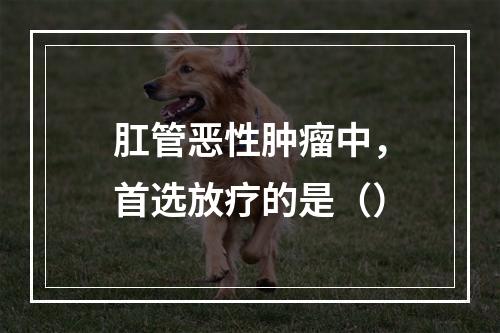 肛管恶性肿瘤中，首选放疗的是（）