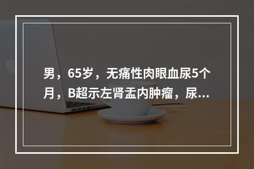 男，65岁，无痛性肉眼血尿5个月，B超示左肾盂内肿瘤，尿细胞