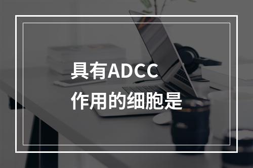 具有ADCC作用的细胞是