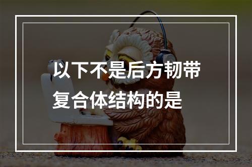 以下不是后方韧带复合体结构的是