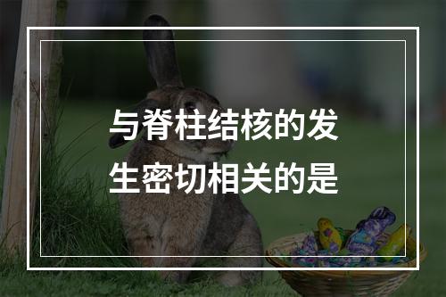 与脊柱结核的发生密切相关的是