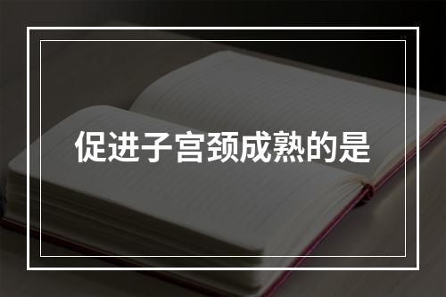 促进子宫颈成熟的是