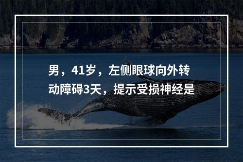 男，41岁，左侧眼球向外转动障碍3天，提示受损神经是