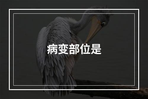 病变部位是