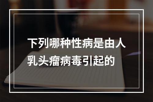 下列哪种性病是由人乳头瘤病毒引起的