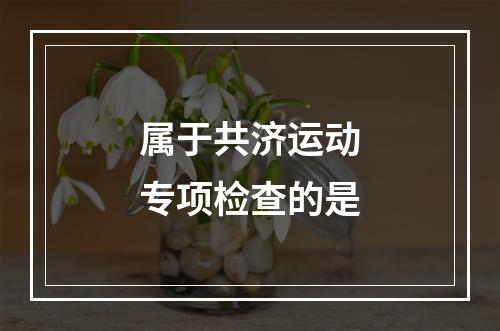 属于共济运动专项检查的是