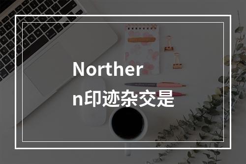 Northern印迹杂交是