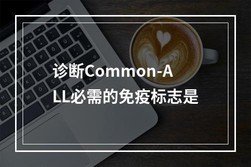 诊断Common-ALL必需的免疫标志是