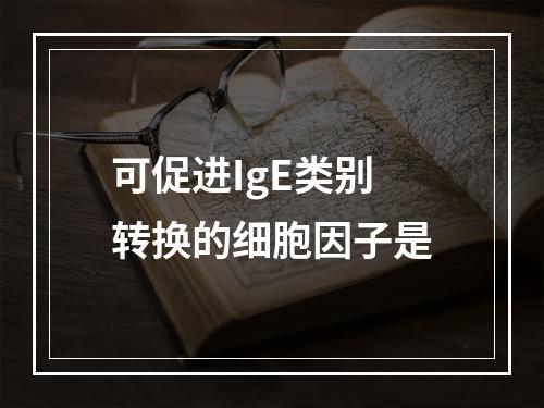 可促进IgE类别转换的细胞因子是