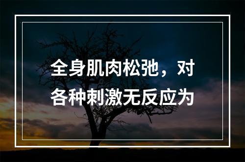 全身肌肉松弛，对各种刺激无反应为