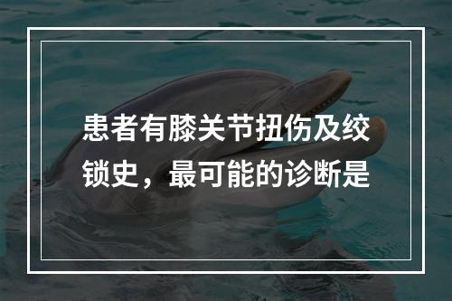 患者有膝关节扭伤及绞锁史，最可能的诊断是