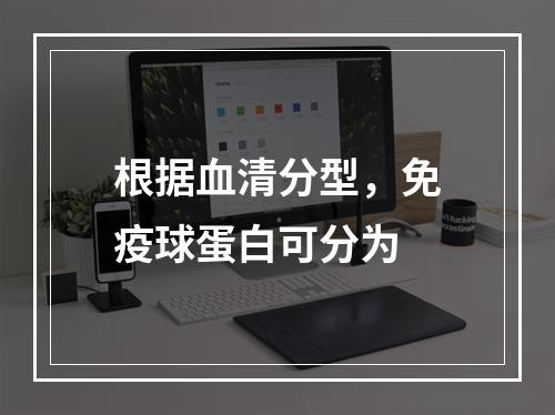 根据血清分型，免疫球蛋白可分为