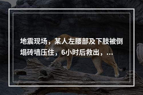 地震现场，某人左腰部及下肢被倒塌砖墙压住，6小时后救出，4小