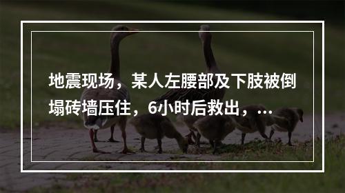 地震现场，某人左腰部及下肢被倒塌砖墙压住，6小时后救出，4小