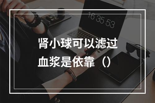 肾小球可以滤过血浆是依靠（）