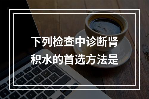 下列检查中诊断肾积水的首选方法是