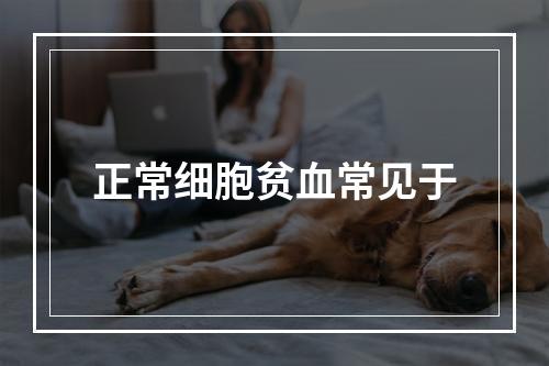 正常细胞贫血常见于