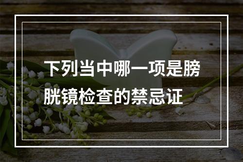 下列当中哪一项是膀胱镜检查的禁忌证