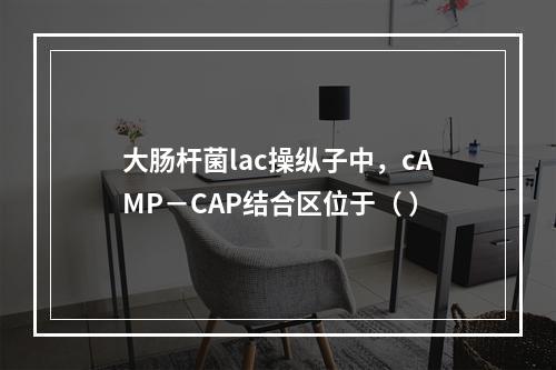 大肠杆菌lac操纵子中，cAMP－CAP结合区位于（ ）