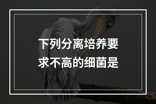 下列分离培养要求不高的细菌是