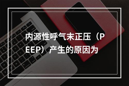 内源性呼气末正压（PEEP）产生的原因为