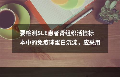 要检测SLE患者肾组织活检标本中的免疫球蛋白沉淀，应采用