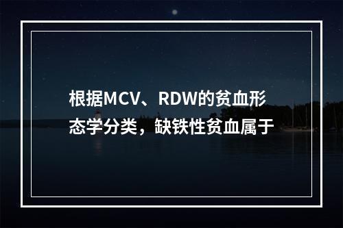 根据MCV、RDW的贫血形态学分类，缺铁性贫血属于