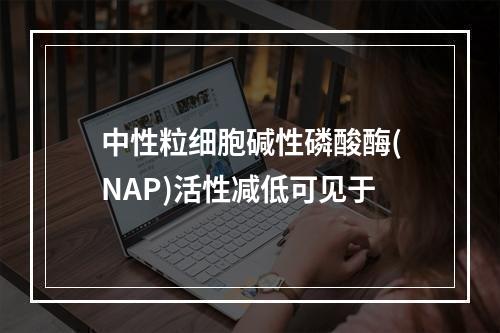 中性粒细胞碱性磷酸酶(NAP)活性减低可见于