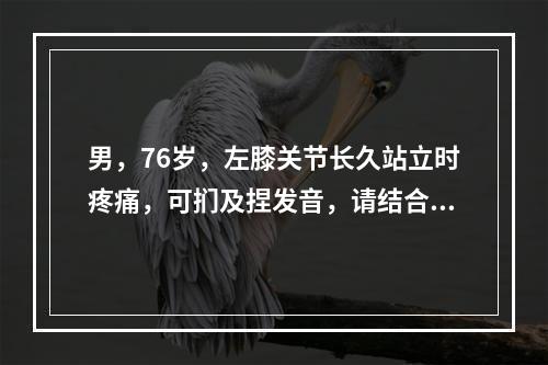 男，76岁，左膝关节长久站立时疼痛，可扪及捏发音，请结合图像