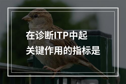 在诊断ITP中起关键作用的指标是