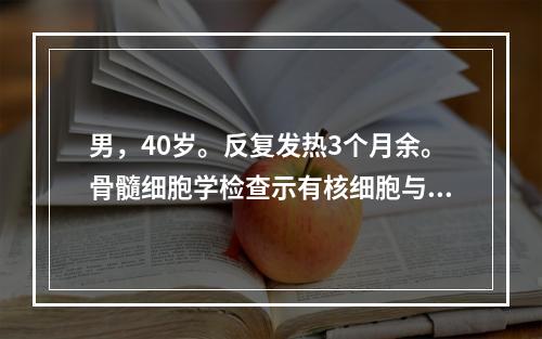 男，40岁。反复发热3个月余。骨髓细胞学检查示有核细胞与成熟