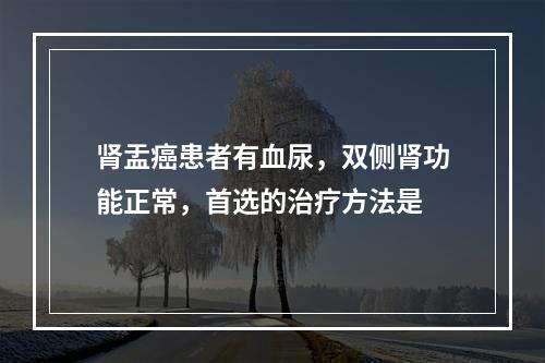 肾盂癌患者有血尿，双侧肾功能正常，首选的治疗方法是