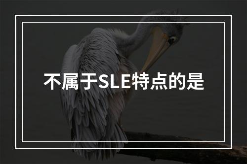 不属于SLE特点的是