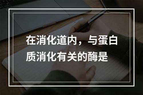 在消化道内，与蛋白质消化有关的酶是