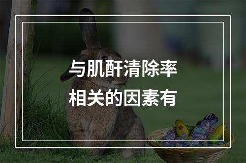 与肌酐清除率相关的因素有