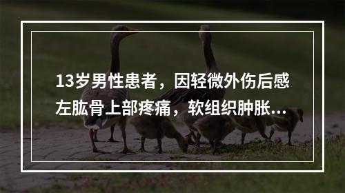 13岁男性患者，因轻微外伤后感左肱骨上部疼痛，软组织肿胀，摄