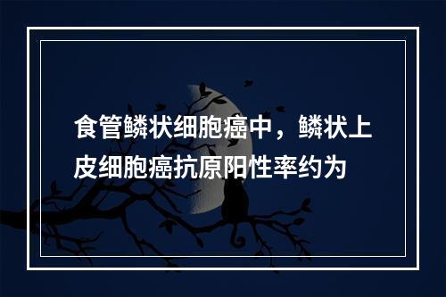 食管鳞状细胞癌中，鳞状上皮细胞癌抗原阳性率约为